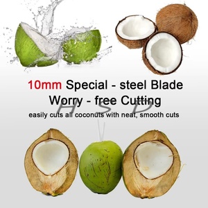 Máquina Desnúdadora de Cocos de Acero Inoxidable para Plantas Embotelladoras de Agua de <span class=keywords><strong>Coco</strong></span> y Producción de Bebidas de <span class=keywords><strong>Coco</strong></span> Listas para Beber - Product Image 5