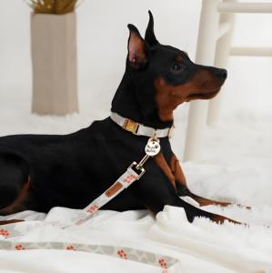 M First Snow Elegant Modern Design Luxury Style <b>Dog</b> <b>Collar</b> Cotton Comfortable & Soft Personalized Durable Elegant Print Pattern - Product Image 4