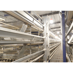 Tự Động H Loại Động Vật Gia Cầm Trứng Lớp Nhà Chăn Nuôi Gà Thịt Cho Ăn Nuôi Thiết Bị Dòng Gà Trang Trại Pin Lồng Hệ Thống - Product Image 6