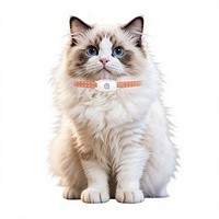 Localisateur GPS pour animaux de compagnie en acier inoxydable 5G, étanche, anti-perte pour chiens et chats, suivi à distance via iOS, collier pour animaux de compagnie compatible avec les téléphones mobiles