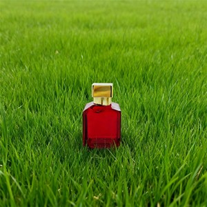Nhà Thiết Kế Ban Đầu Cho Baccarat Rouge Parfum 540 Lâu Dài Nước Hoa Hương Thơm Cho Nam Giới Và Phụ Nữ Với Oud Bán Số Lượng Lớn Nước Hoa - Product Image 2