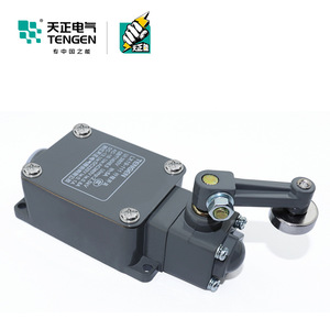 Tengen LX19-111 Limit Switch <b>Miniature</b> AC DC Control Loop Positioning Switch - Product Image 3