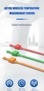 Hoogwaardige industriële draadloze temperatuursensor met actieve & passieve sensoren, op batterijen, voor op de pols te dragen - Product Image 5