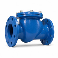 Clapet anti-retour à bride en fonte ductile PN16, type oscillant, pour pompe à eau et ligne de protection incendie