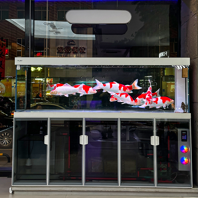 modular fish display tank for shop