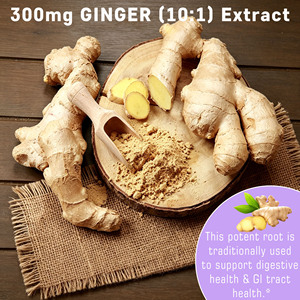 High Quality Turmeric Ginger Tablets with Black Pepper Extract <b>Supplement</b> Supports Joint Health Immune Support Herbal Tablets - Product Image 4