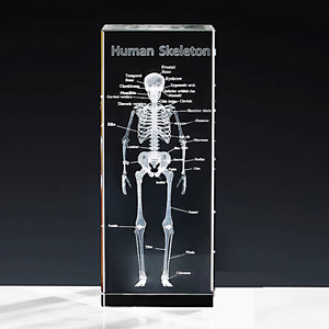 Có thể nhìn thấy máu hệ thống K9 pha lê <span class=keywords><strong>3D</strong></span> trái tim con người mô hình Laser khắc giải phẫu Trophy cho tim mạch Quà Tặng - Product Image 4