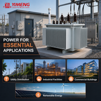 Transformateur de distribution à faible perte de puissance 10 kV 250 kVA S13, rempli d'huile, avec réservoir corrugué scellé