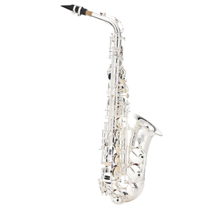 Sassofono Contralto in Ottone Placcato Argento, Strumento a Fiato per Studenti e Professionisti, Ideale per Esibizioni di Band - Product Image 1