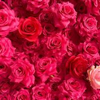 Bruiloftfavoren Krulroos Bloemhoofd met doos Valentijnsdag Zeepbloemen Bruiloftsdecoratie Cadeau Feestdecoratie