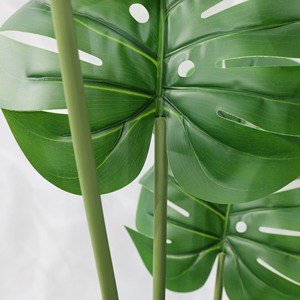 <span class=keywords><strong>Plante</strong></span> artificielle verte très réaliste, grande et <span class=keywords><strong>tendance</strong></span>, de type Canna à épines, pour la décoration de salon, de fenêtre et d'intérieur - Product Image 4