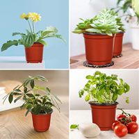 Pots de pépinière en plastique de 4 pouces pour la germination des graines de plantes, jardinières, pots à fleurs