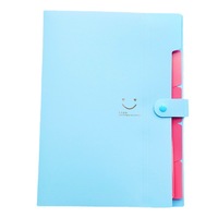 2023 nuevo producto bolsa de archivo expansible 8 bolsillos Carpeta de acordeón expansible decorativa