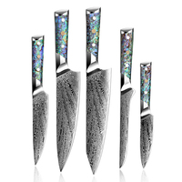Ensemble de 5 couteaux de cuisine de haute qualité, ensemble de couteaux de chef japonais en acier damas pour la cuisine