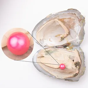 Love Wish珍珠派对礼品真空包装7-8mm 4a优质松散淡水圆形养殖淡水珍珠牡蛎
