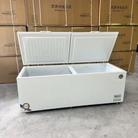 Congélateur horizontal commercial grande capacité avec refroidissement direct, en acier inoxydable, contrôle intelligent de la température