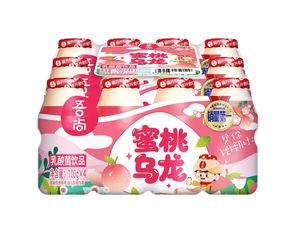 Yaourt Original aux Bactéries Lactiques en Gros – Petites Bouteilles de Boisson Prébiotique Aromatisée au <span class=keywords><strong>Lait</strong></span> pour le Petit-Déjeuner – Boîte Entière - Product Image 5