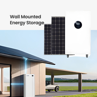 Batería Portátil de Almacenamiento de Energía para el Hogar, con Conexión Bluetooth, Interfaz de Salida Multifunción, 3360wh