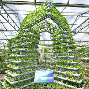 Sinok Gewächshaus Hydro ponik Turm NFT Hydro ponik für Salat Vertikale Landwirtschaft <span class=keywords><strong>Cocopeat</strong></span> Tomaten Gemüse Landwirtschaft Landwirtschaft - Product Image 1