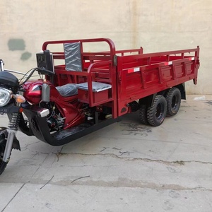 Tricycle de fret à 9 roues avec double essieu arrière, refroidissement par eau 350CC, personnalisé - Product Image 4