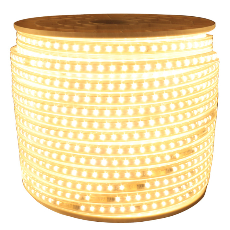 High Lumen 110v 220v Voltage White RGB Smd5050 2835 IP65 Waterproof Luces Led Bedroom Led Strip lights BT Led Light Strips