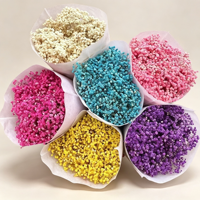 120g de fleurs de gypsophile préservées, fleurs naturelles séchées pour la décoration de la maison et de mariage, fleurs immortelles véritables, support OEM