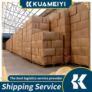 Çin'den amerikan ada ülkelerine DDP hava ekspres yük iletici hizmeti FCL lojistik deniz nakliye hizmeti - Product Image 5