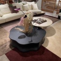 Ensemble de 2 tables basses modernes de luxe avec table en bois noir mat en forme de nuage et table ronde en marbre naturel pour salon