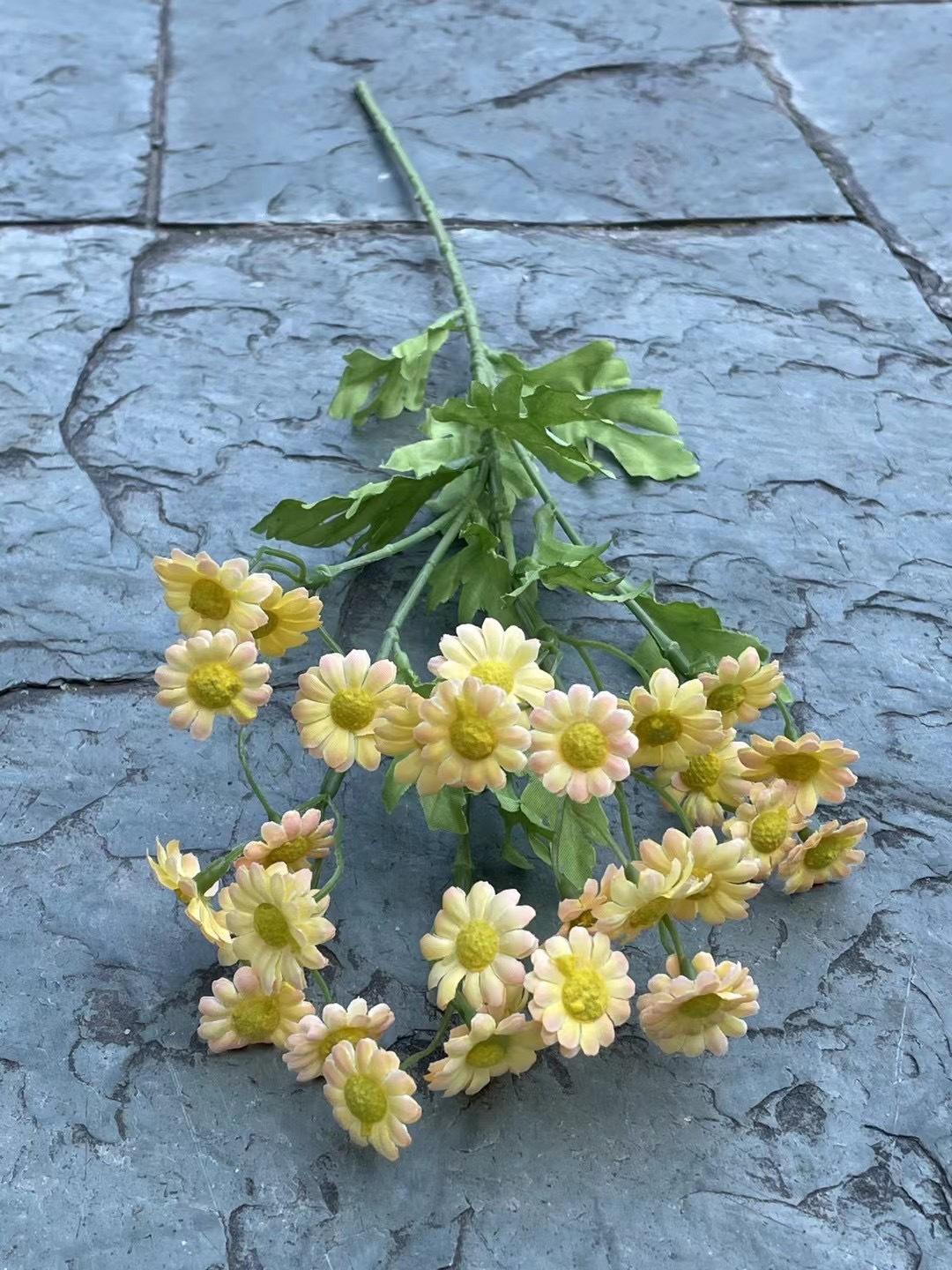 30 cabeza de manzanilla amarilla