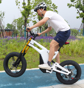 20Inch <b>Fat</b> Tire <b>Ebike</b> <b>Frame</b> with Light 1000W Carbon Fiber Basic Version 48V 20Ah Lithium Battery Dirt Bike for Adults - Product Image 3