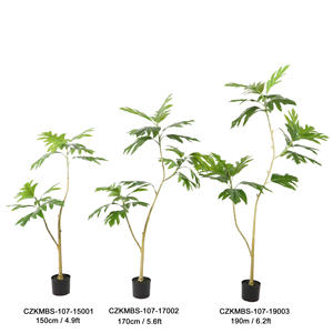 Planta de plástico simulada Interior Oficina Tienda Decorado <span class=keywords><strong>Bonsai</strong></span> Tree Artificial Baobab Tree - Product Image 6