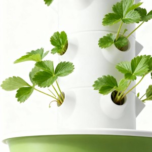 Équipement <span class=keywords><strong>de</strong></span> culture hydroponique à 7 niveaux et 28 trous pour légumes, fruits et fleurs - Product Image 3