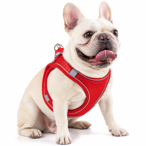 Arnés y Correa Reflectantes <span class=keywords><strong>para</strong></span> Perros, con Diseño Anti-Tirones, Ligeros, <span class=keywords><strong>para</strong></span> Perros Pequeños - Product Image 1