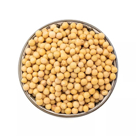 Vente en gros, vente en gros, 100% protéines naturelles, soja jaune, graines de soja des pays-bas