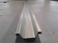 Machine de profilage à grande vitesse ZTRFM 45 m/min pour la fabrication de profilés omega pour ossature de toiture