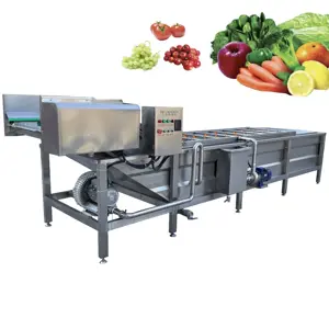 Máquina de lavar de ozônio de frutas e vegetais, linha profissional de produção de frutas e vegetais congeladas