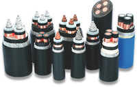 Câble d'alimentation électrique blindé sous-marin en cuivre isolé 4 noyaux 4x35mm2 Xlpe Offre Spéciale souterrain