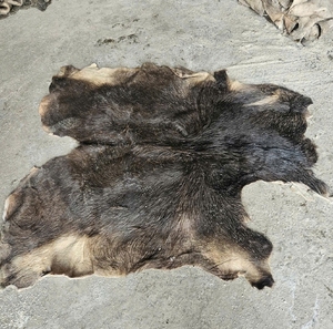 Peau de vache et peau de buffle salées humides de qualité supérieure, sans larves, matière première pleine de son contenu pour le marché d'exportation - Product Image 1