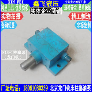 Bomba de Aceite Lubricante de Tornillo R13-1 para Cabezal de Fresadora de Pórtico de Fábrica de Beijing, Directo de Fábrica - Product Image 1