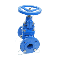 Vanne à soupape manuelle en fonte ductile à brides PN16 DN125, personnalisée OEM/ODM pour le contrôle de l'eau