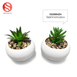 Personnaliser motif LOGO couleur rond <span class=keywords><strong>petit</strong></span> <span class=keywords><strong>pot</strong></span> <span class=keywords><strong>de</strong></span> <span class=keywords><strong>fleur</strong></span> <span class=keywords><strong>en</strong></span> <span class=keywords><strong>terre</strong></span> cuite avec plante succulente artificielle - Product Image 5