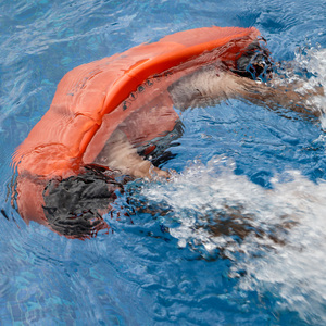 Sea Scooter Portatile ma Intelligente, 45 Minuti di Autonomia, Propulsione Subacquea Elettrica per Immersioni e Nuoto, per Adulti e <span class=keywords><strong>Bambini</strong></span> - Product Image 2