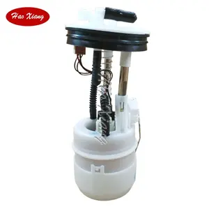 Haoxiang Auto Fuel Pump Assembly 17040-JD01A 17040-JD01B For NISSAN Qashqai Suv 1.6L