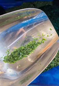 Bubuk ekstrak rumput laut kualitas baik bubuk rumput laut kering bubuk aonori - Product Image 4