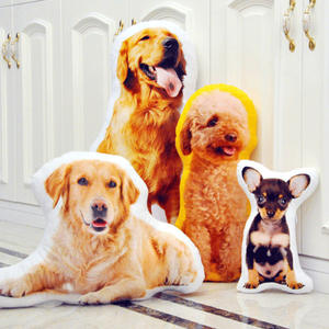 Özelleştirilmiş 3D dolması hayvan <span class=keywords><strong>Pet</strong></span> özel peluş yastık oyuncaklar reklam hediye peluş bebek özel köpek kedi yastıklar oyuncaklar - Product Image 2