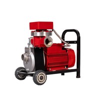 Pompa Oli Listrik 2-inci High-Lift Self-Priming High-Flow dengan Smart Meter; Pompa Transfer Diesel/Bensin Anti Ledakan untuk Oli