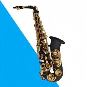 Saxophone alto en mi bémol en laiton laqué noir, résistant à la rouille, instrument <span class=keywords><strong>de</strong></span> haute qualité, directement <span class=keywords><strong>de</strong></span> l'usine - Product Image 1