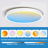 Nouveau panneau de plafond à spectre complet Ra98 Sky Smart WiFi BT commande vocale Alexa Google Assistant Compatible panneau lumineux LED
