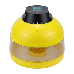 Incubateur à œufs <span class=keywords><strong>Janoel</strong></span> pour <span class=keywords><strong>10</strong></span> œufs, petite volaille, machine à couver, incubateur et éclosoir à œufs de poulet - Product Image 1