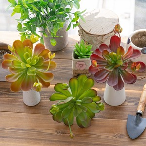 CallaFloral Plante succulente artificielle murale, vert clair, rouge foncé, en plastique, haute simulation, pour décoration de mariage et de maison - Product Image 1